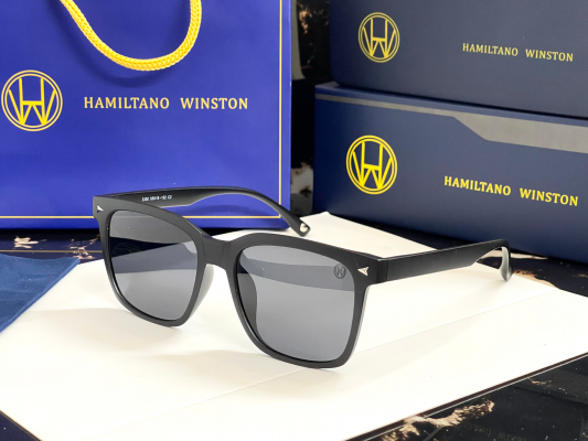 Mens polarized black wayferer.